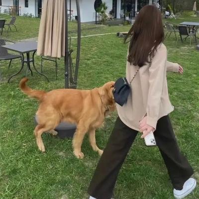 我们的费尔斯特先生去世了