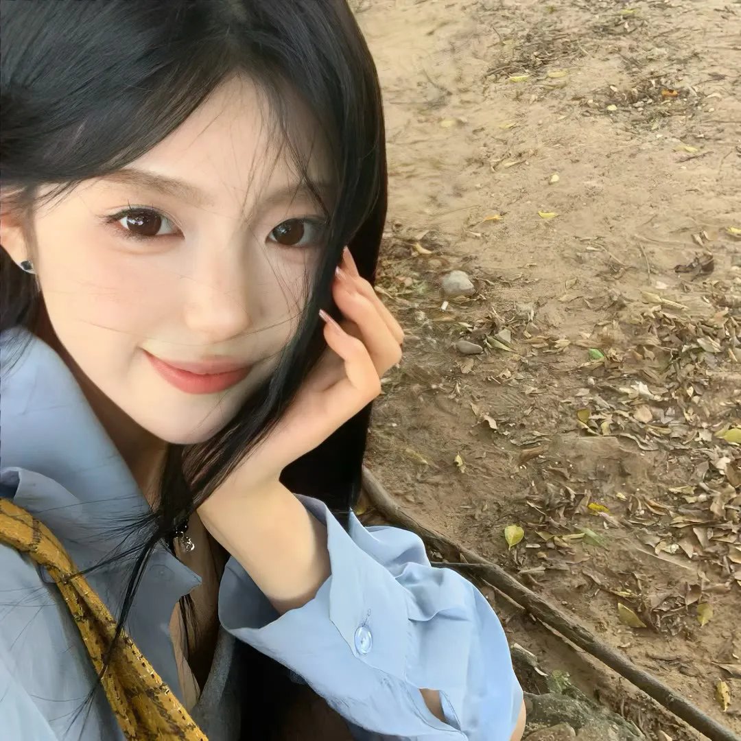 完美计划