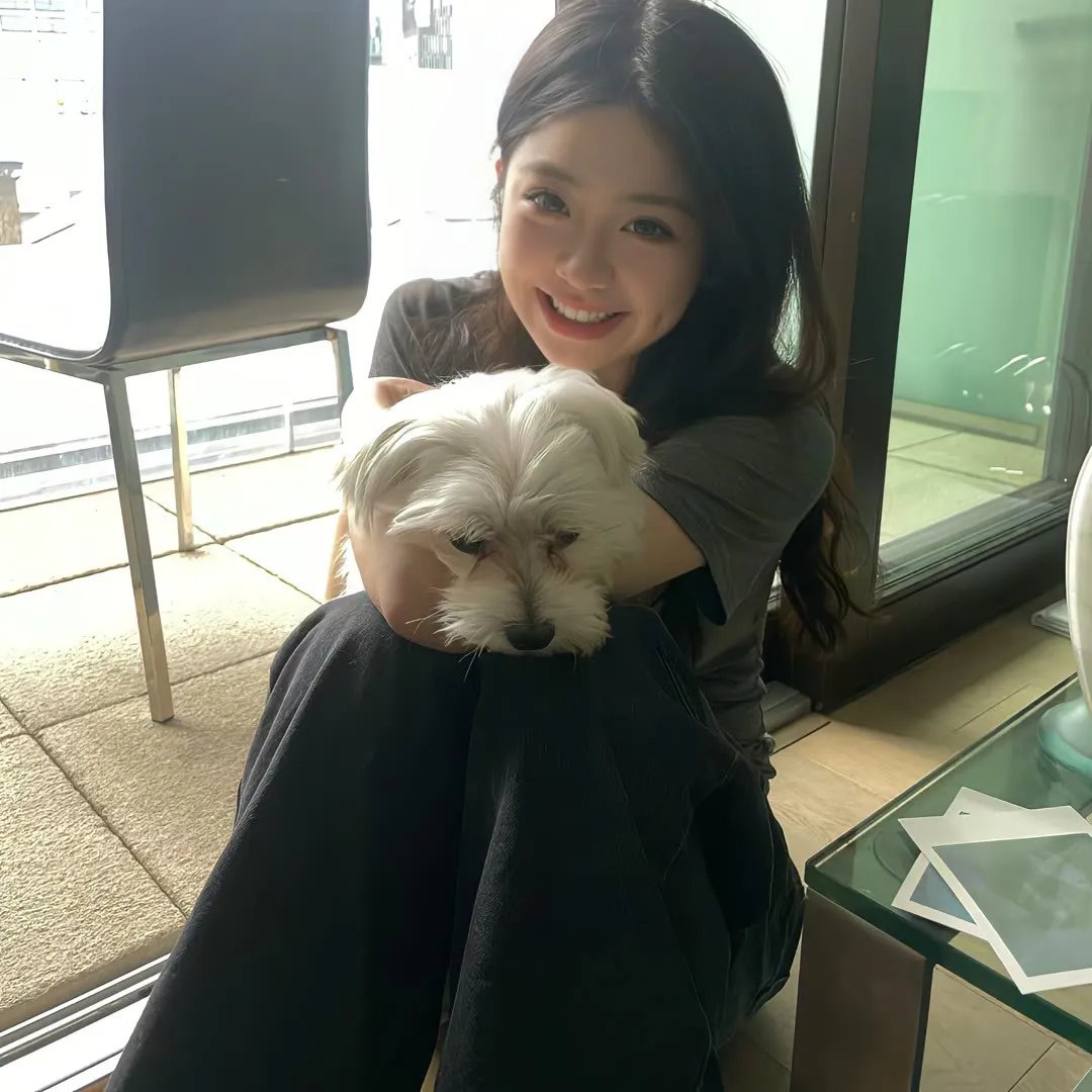 美国鼠谭3:寻宝记